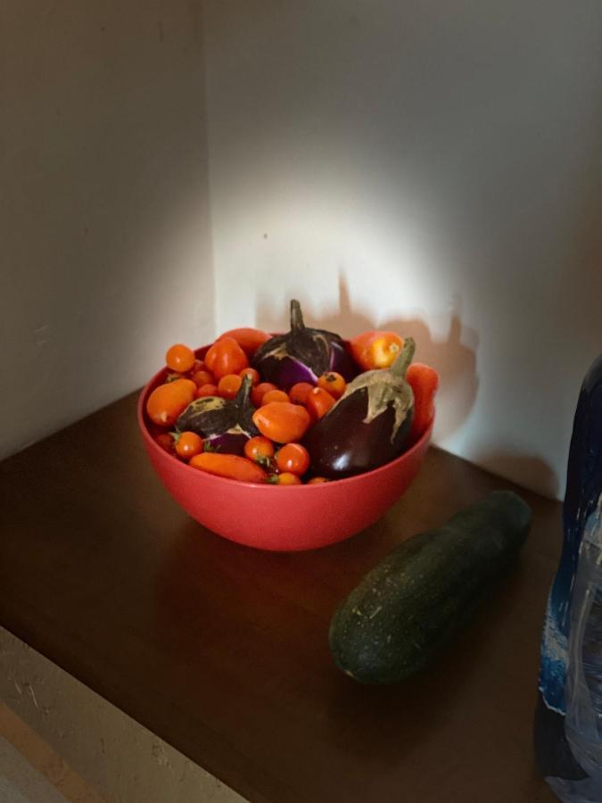 فيلا Marisa'S House تْشيفالو المظهر الخارجي الصورة